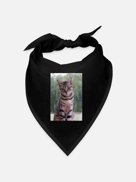 Katze Kätzchen - Bandana Dreieckstuch - Schwarz
