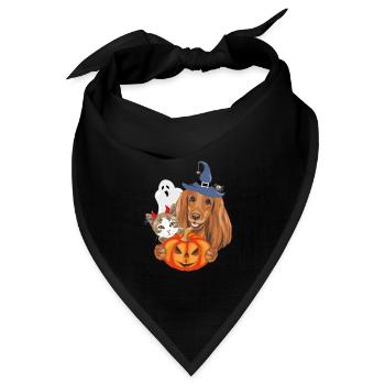 Lustige Katze und Hund mit Halloween ausgefallenen Accessoires - Bandana Dreieckstuch - Schwarz - Vorne