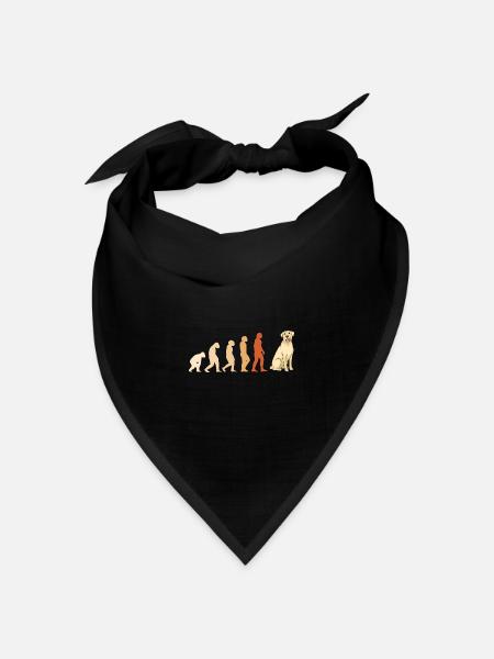 Evolution Labrador Retriever - Bandana Dreieckstuch - Schwarz