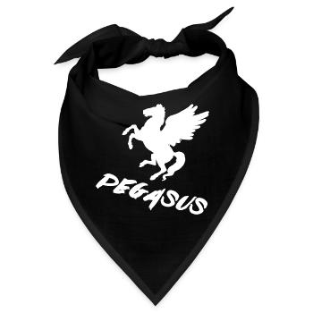 Pegasus - Bandana - Schwarz - Vorne