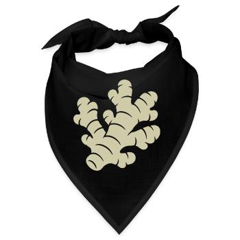 Ingwer Design – Frisch & Gesund - Bandana - Schwarz - Vorne