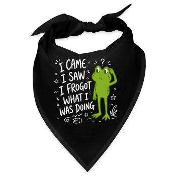 Frosch - I came I saw I frogot what i was doing - Bandana - Schwarz - Vorne