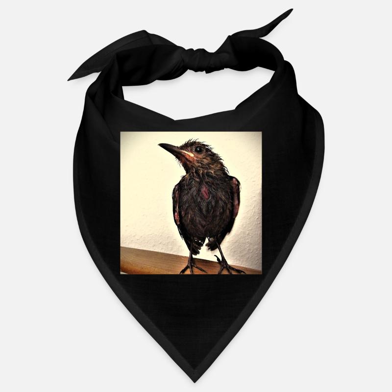 Frisch gebadet... Bandana