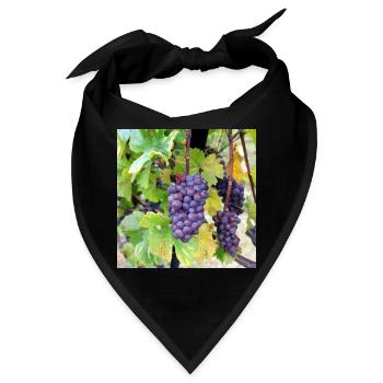 Wein Weintrauben Weinrebe Weinlese Weinfest Poster - Bandana - Schwarz - Vorne