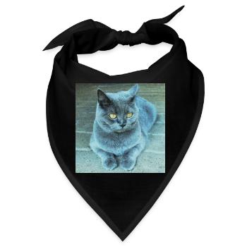 Grau Blau Katze mit Goldenen Augen - Bandana - Schwarz - Vorne
