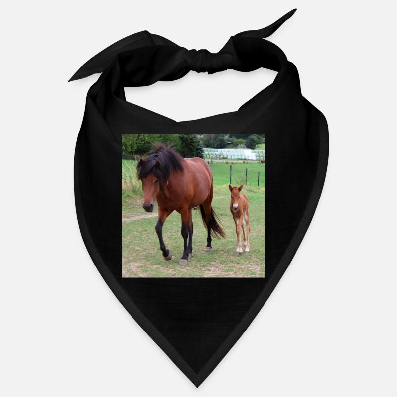 Affiche Cheval Cheval Bandana