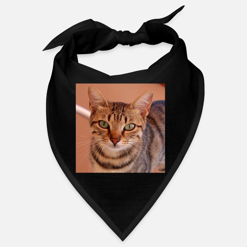 Cat Kitten Poster Square Cat Poster Bandana