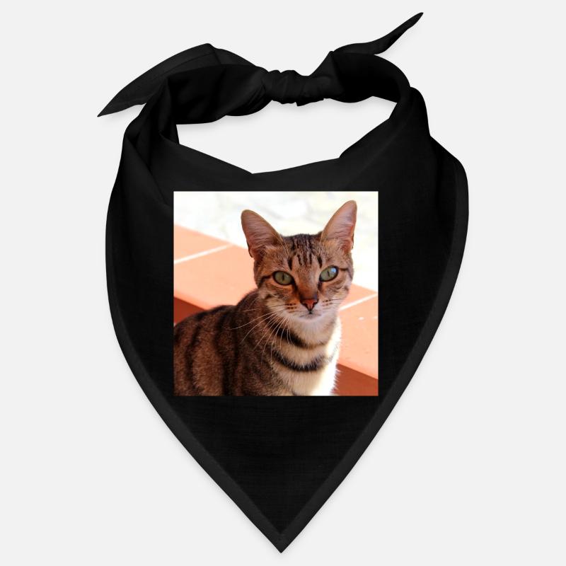 Chat chaton affiche chat carré affiche Bandana