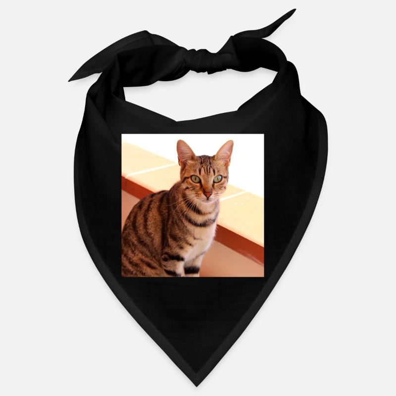Chat chaton affiche chat carré affiche Bandana