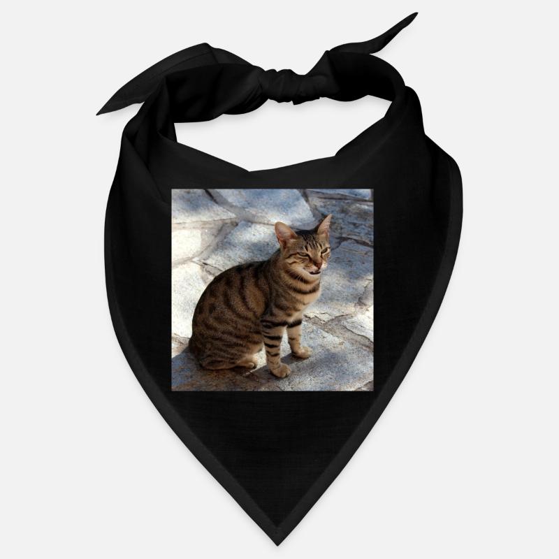 Chat chaton affiche chat carré affiche Bandana