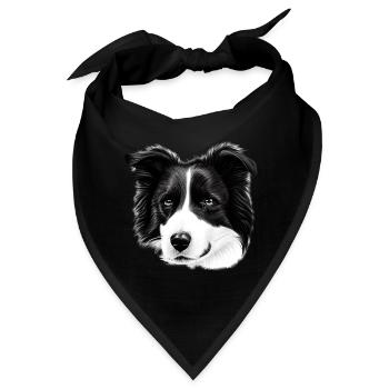 Kurzhaar Border Collie Hütehund - Bandana - Schwarz - Vorne