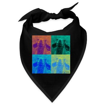 Secret of Moose - Duplex - Bandana - Schwarz - Vorne