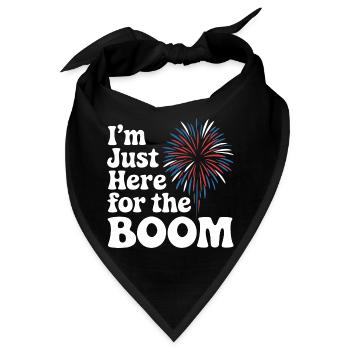 Pyrotechniker Feuerwerk Pyrotechnik - Bandana - Schwarz - Vorne