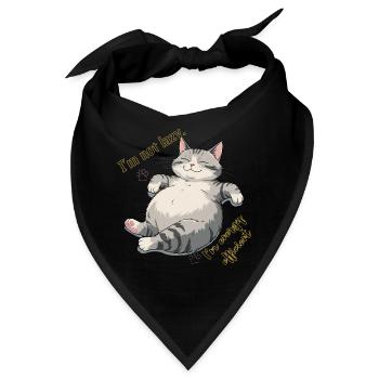 Energie-Sparkatze: Cozy Lounge - Bandana - Schwarz - Vorne