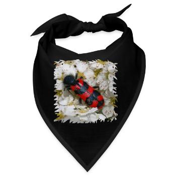 Bienenwolf hat Bienenlarven zum fressen gern - Bandana - Schwarz - Vorne