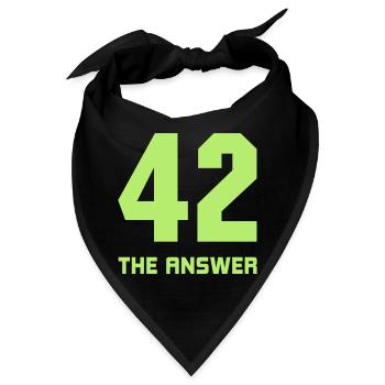 42, the Answer Antwort Galaxis Science Fiction UFO - Bandana - Schwarz - Vorne
