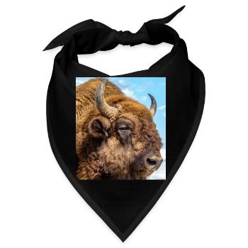 Wisent - Bandana - Schwarz - Vorne