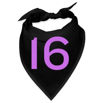 16 - Bandana - Schwarz - Vorne