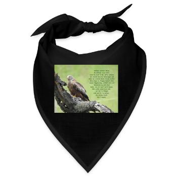 Milan - Bandana - Schwarz - Vorne