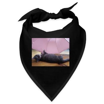 katzen, kätzchen, - Bandana - Schwarz - Vorne