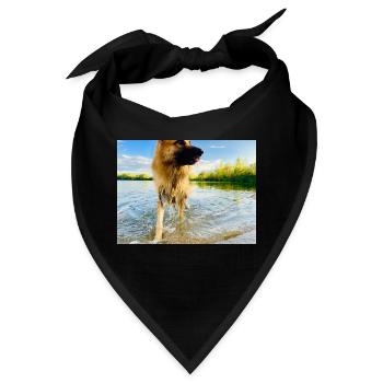 Altdeutscher Schäferhund - Bandana - Schwarz - Vorne
