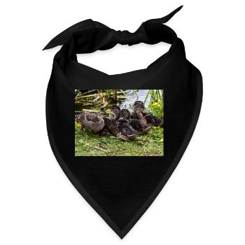 Entchen - Bandana - Schwarz - Vorne