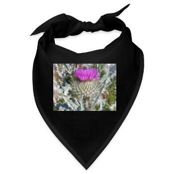 Scotch Baumwolldistel auch Wolldistel - Bandana - Schwarz - Vorne