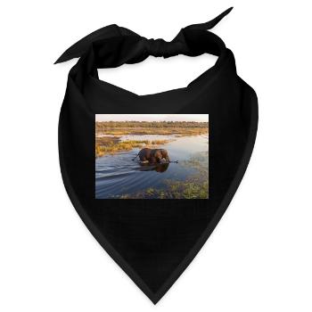 Elefanten am Wasser in Namibia Afrika - Bandana - Schwarz - Vorne