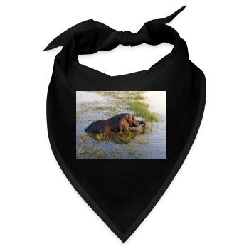 Elefant am Wasser in Namibia Afrika - Bandana - Schwarz - Vorne