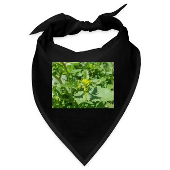 schwarzer Senf Rhamphosp - Bandana - Schwarz - Vorne