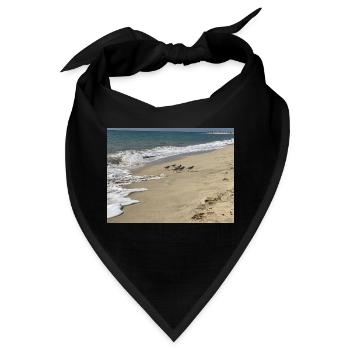 Run Bird run - Bandana - Schwarz - Vorne