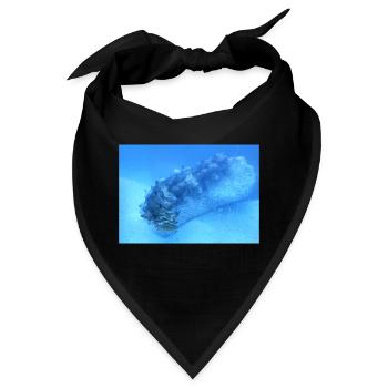 See Walze - Bandana - Schwarz - Vorne