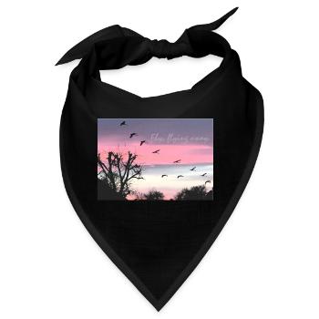Fly, flying away. Tour durch die Natur. - Bandana - Schwarz - Vorne