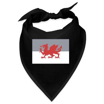 Wales - Bandana - Schwarz - Vorne