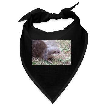 Asian small-clawed otter Zwergotter - Bandana - Schwarz - Vorne