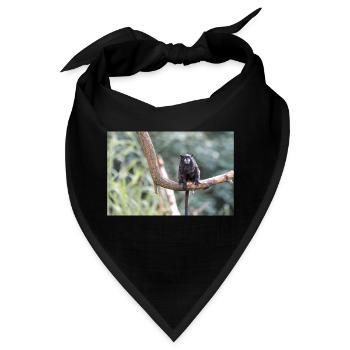 Schwarzmanteltamarin Schwarzrückentamarin - Bandana - Schwarz - Vorne