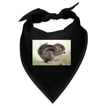 Chipmunk (kanadisches Streifenhörnchen) - Bandana - Schwarz - Vorne