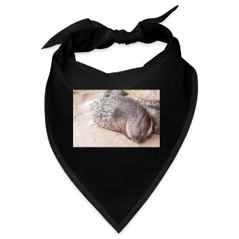 Stachelschwein - Bandana - Schwarz - Vorne