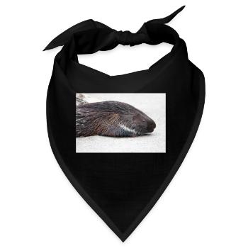 Stachelschwein - Bandana - Schwarz - Vorne