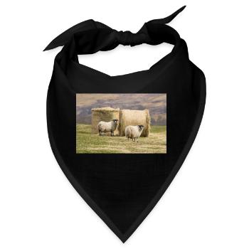 Schaf Ovis in Irland - Bandana - Schwarz - Vorne