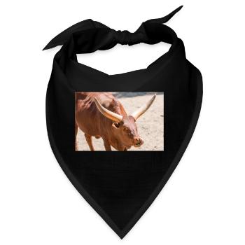 Ankole-Watusi oder Ankole Longhorn Watussirind - Bandana - Schwarz - Vorne
