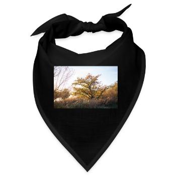 Lesum - Bandana - Schwarz - Vorne