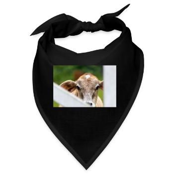 Kleines Kalb mit süßem Aussehen - Bandana - Schwarz - Vorne