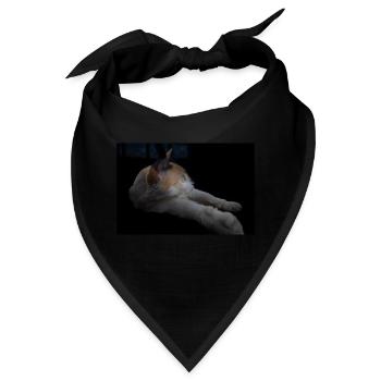 Die weiße Katze mit den grünen Augen - Bandana - Schwarz - Vorne