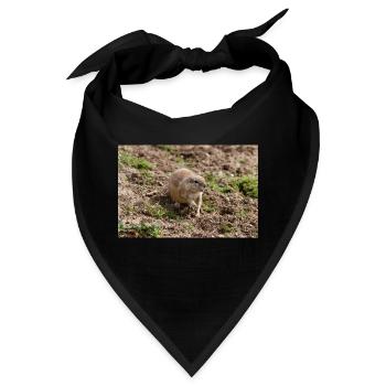Afrikanisches Ziesel Borstenhörnchen Xerus - Bandana - Schwarz - Vorne