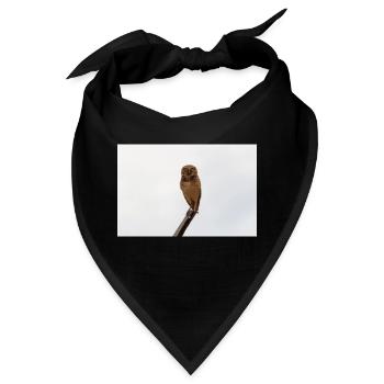 Die Eule - Bandana - Schwarz - Vorne
