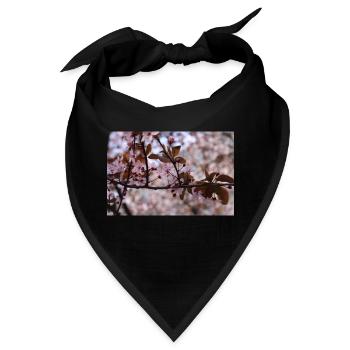 Blühender Baum (Myrobolan oder Kirschpflaume) - Bandana - Schwarz - Vorne