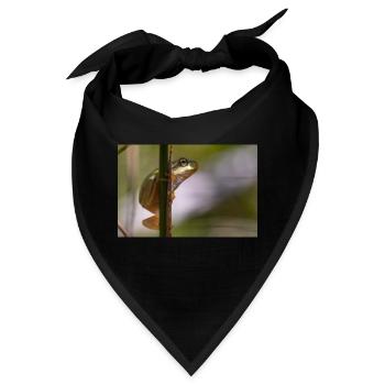 Laubfrosch - Bandana - Schwarz - Vorne