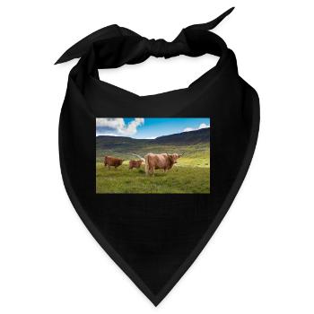 Schottische Hochlandrinder - Bandana - Schwarz - Vorne