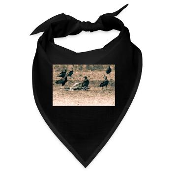 Geier - Bandana - Schwarz - Vorne